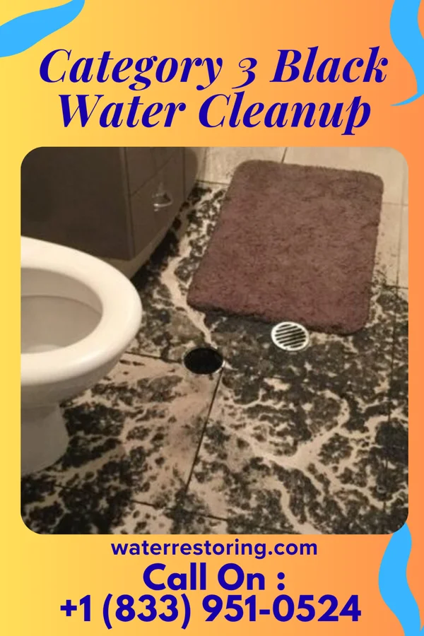 Category 3 Black Water Cleanup in Iroquois, IL