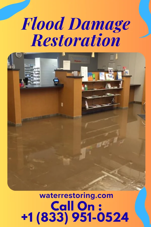 Flood Damage Restoration in Iroquois, IL